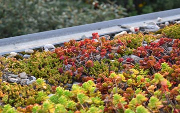 the cost of Tulliemet green roof installation