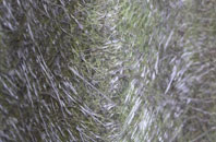 Tulliemet fibreglass roof work